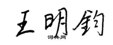 王正良王明鈞行書個性簽名怎么寫