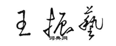 駱恆光王振藝草書個性簽名怎么寫