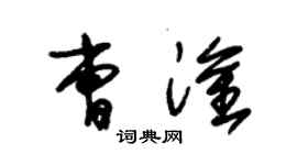 朱錫榮曹淦草書個性簽名怎么寫