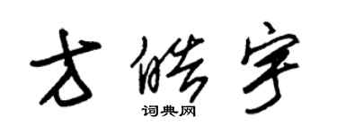 朱錫榮方皓宇草書個性簽名怎么寫