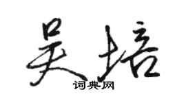 駱恆光吳培行書個性簽名怎么寫