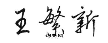 駱恆光王繁新行書個性簽名怎么寫