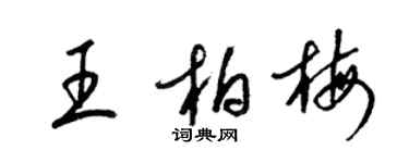 梁錦英王柏梅草書個性簽名怎么寫