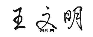 駱恆光王文明行書個性簽名怎么寫