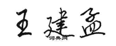 駱恆光王建孟行書個性簽名怎么寫