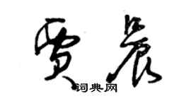 曾慶福賈晨草書個性簽名怎么寫