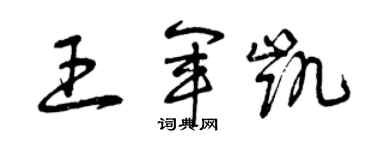 曾慶福王軍凱草書個性簽名怎么寫