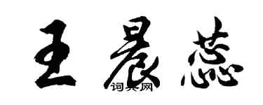 胡問遂王晨蕊行書個性簽名怎么寫