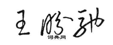 駱恆光王盼馳草書個性簽名怎么寫