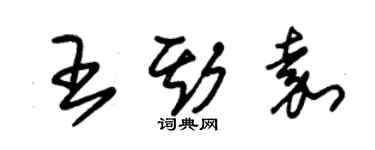 朱錫榮王斯嘉草書個性簽名怎么寫