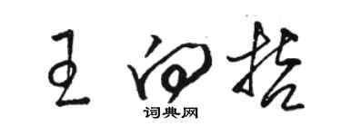 駱恆光王向哲草書個性簽名怎么寫