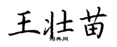 丁謙王壯苗楷書個性簽名怎么寫