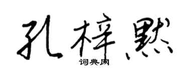 王正良孔梓默行書個性簽名怎么寫