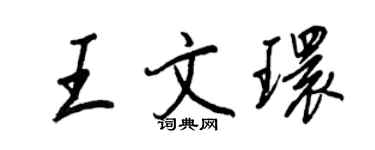 王正良王文環行書個性簽名怎么寫