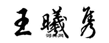 胡問遂王曦雋行書個性簽名怎么寫