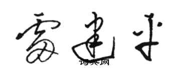 駱恆光雷建平草書個性簽名怎么寫