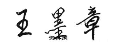 駱恆光王墨章行書個性簽名怎么寫