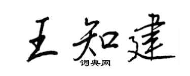 王正良王知建行書個性簽名怎么寫