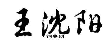 胡問遂王瀋陽行書個性簽名怎么寫