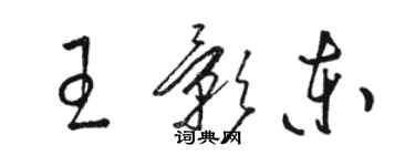 駱恆光王影東草書個性簽名怎么寫