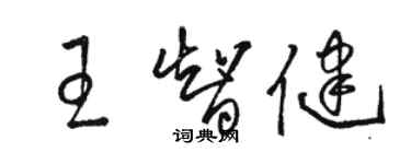 駱恆光王智健草書個性簽名怎么寫