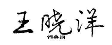 曾慶福王曉洋行書個性簽名怎么寫