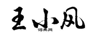 胡問遂王小風行書個性簽名怎么寫