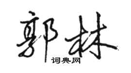 駱恆光郭林行書個性簽名怎么寫