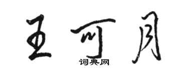 駱恆光王可月行書個性簽名怎么寫