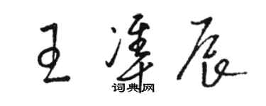 駱恆光王準辰草書個性簽名怎么寫