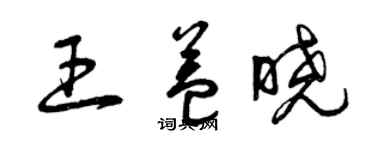 曾慶福王益曉草書個性簽名怎么寫