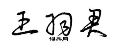 曾慶福王羽君草書個性簽名怎么寫