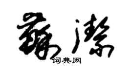 朱錫榮蘇潔草書個性簽名怎么寫