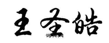 胡問遂王聖皓行書個性簽名怎么寫