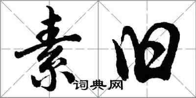 胡問遂素舊行書怎么寫