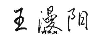 駱恆光王漫陽行書個性簽名怎么寫