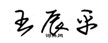 朱錫榮王辰平草書個性簽名怎么寫