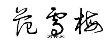 曾慶福范雪梅草書個性簽名怎么寫