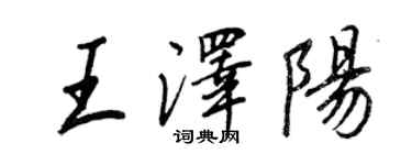 王正良王澤陽行書個性簽名怎么寫