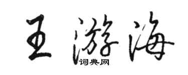 駱恆光王游海行書個性簽名怎么寫