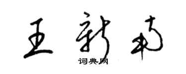 梁錦英王新南草書個性簽名怎么寫