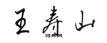 駱恆光王壽山行書個性簽名怎么寫