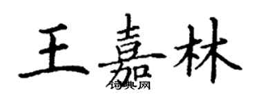 丁謙王嘉林楷書個性簽名怎么寫