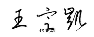 梁錦英王定凱草書個性簽名怎么寫