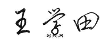 駱恆光王學田行書個性簽名怎么寫