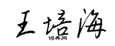 王正良王培海行書個性簽名怎么寫