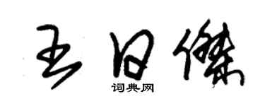 朱錫榮王日傑草書個性簽名怎么寫