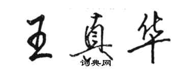 駱恆光王真華行書個性簽名怎么寫