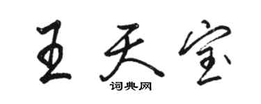 駱恆光王天寶行書個性簽名怎么寫