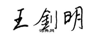 王正良王劍明行書個性簽名怎么寫